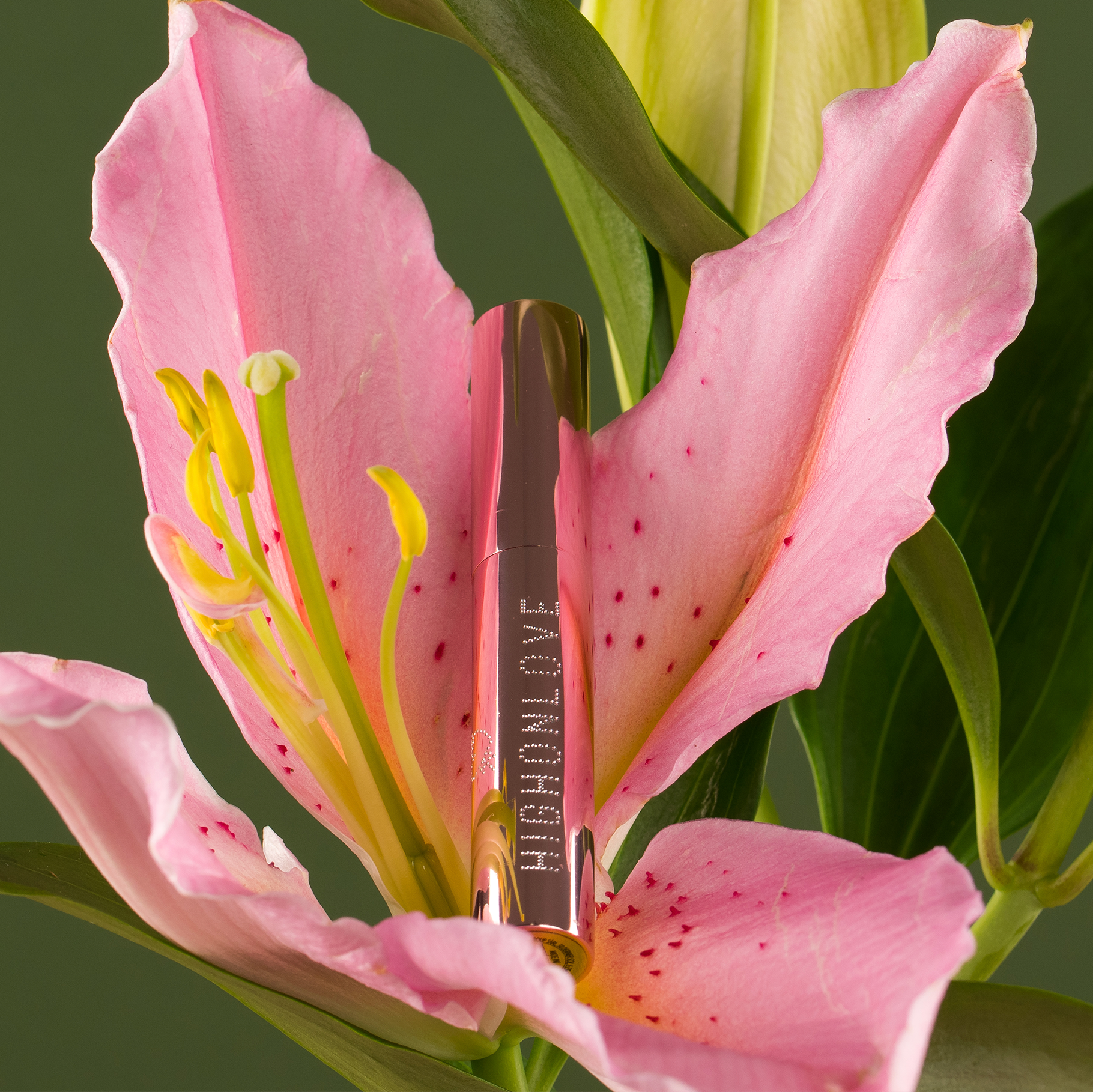 Mini Brillant à Lèvres Repulpant HOL